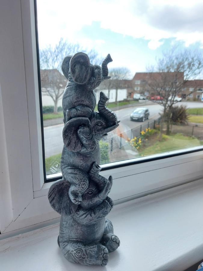 Teddy Bears' 3-Bedroom Maisonette Saltcoats Zewnętrze zdjęcie